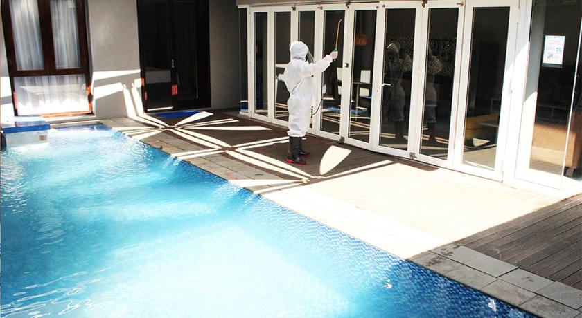 a swimming pool with a dog inside of it, Gammara Hotel Makassar in Makassar