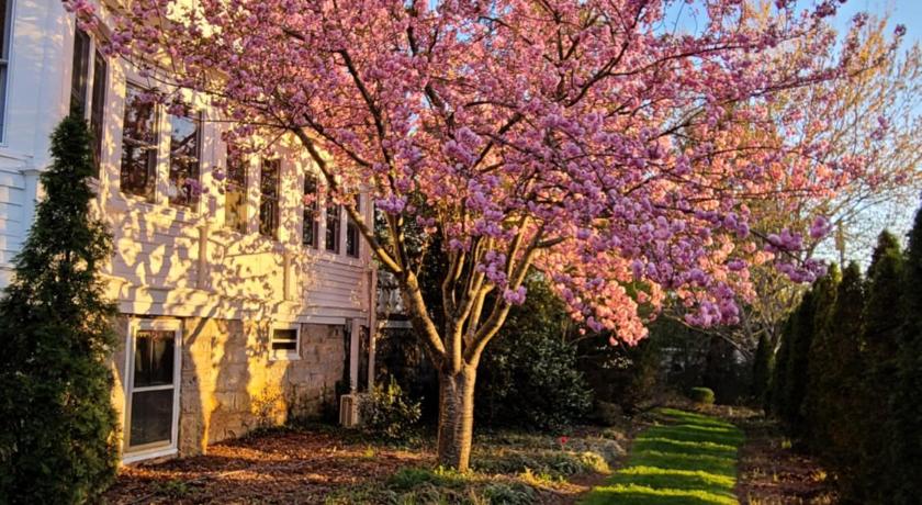 Albemarle Inn - Asheville