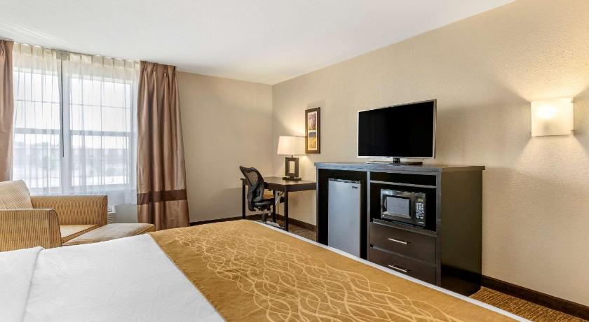 Comfort Inn & Suites Allen Park - Dearborn