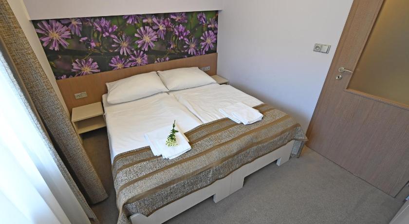 Hotel Jirinka photo