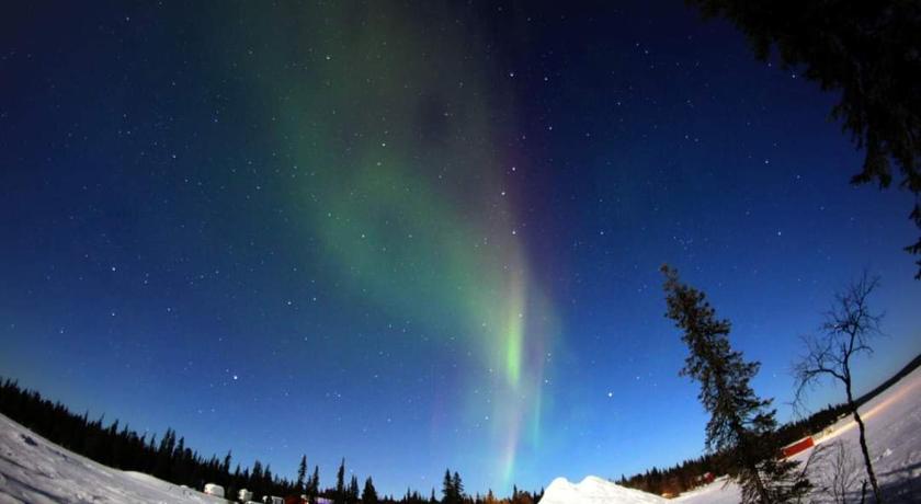 Camp Alta Kiruna photo