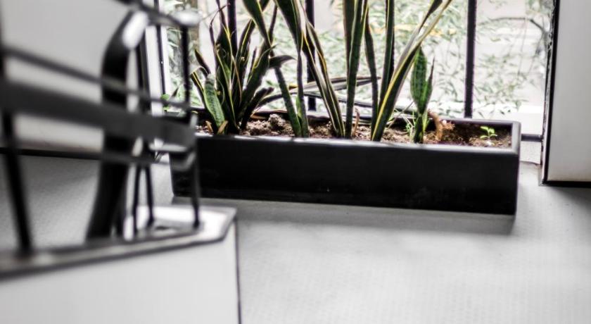 Hotel Itto Condesa photo