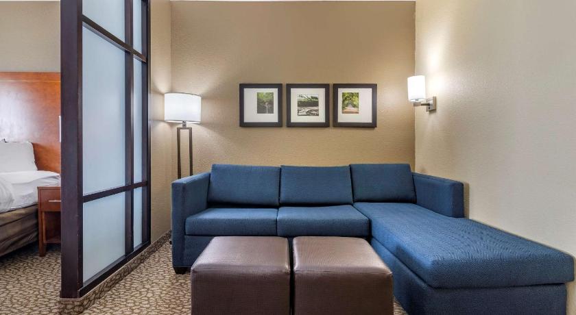 Comfort Suites Florence I-95