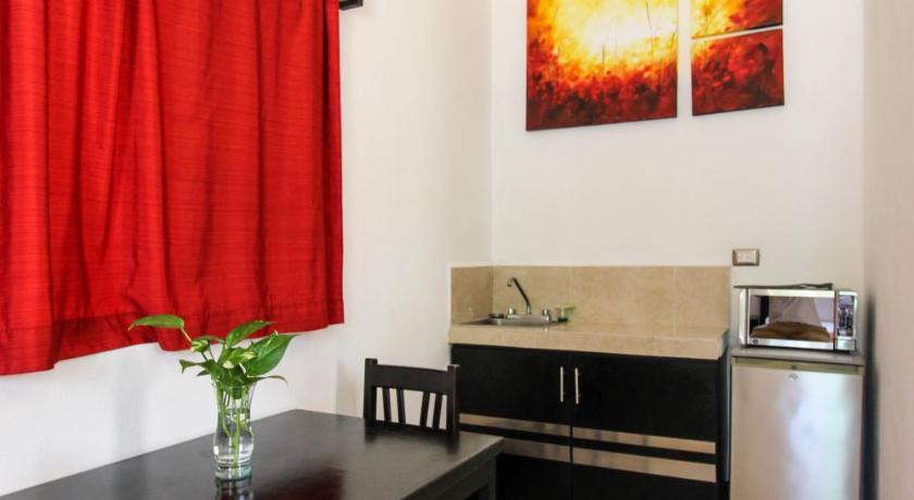 Gayser Apartamentos photo