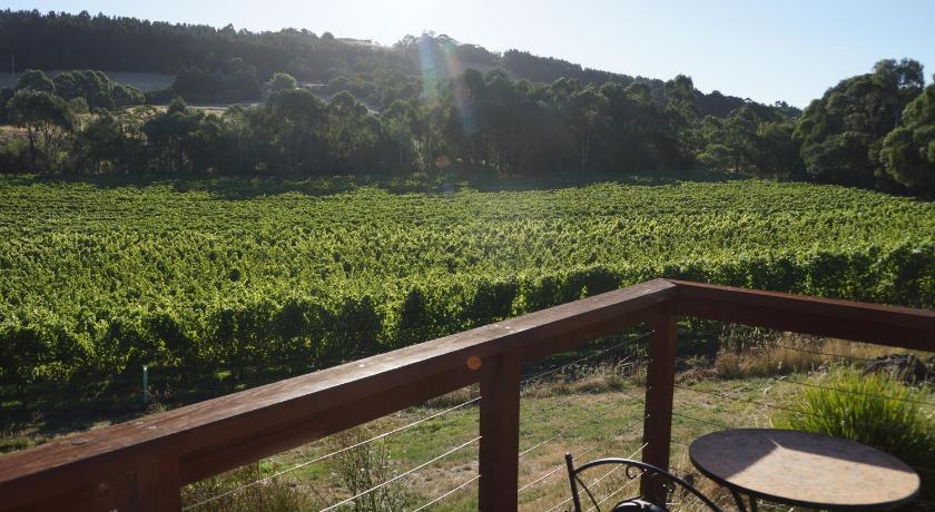 Gisborne Peak Winery Eco Cottages photo