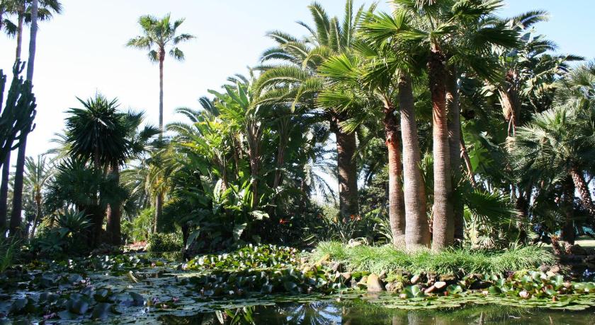 The Oasis by Don Carlos Resort