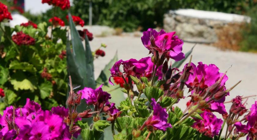 Hotel Charissi - image 12