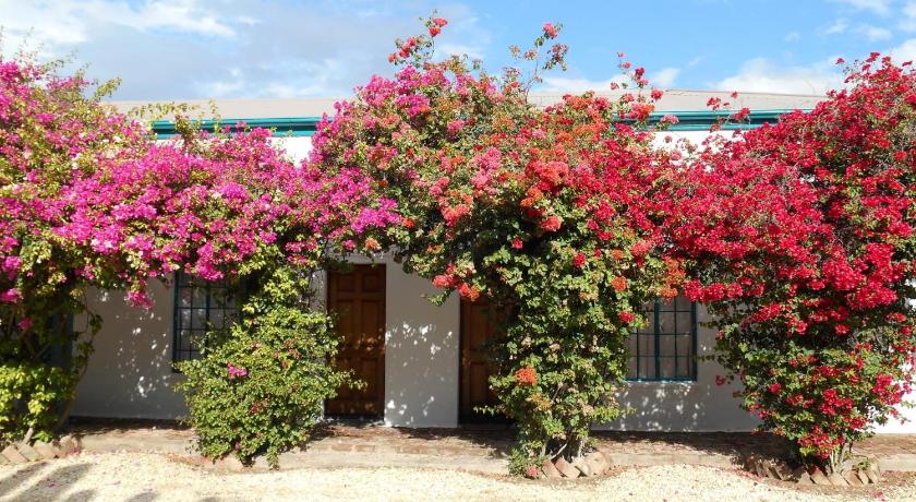 Obesa Lodge photo