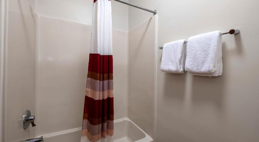 a bathroom with a shower curtain and a towel rack, Red Roof Inn & Suites Dover Downtown in Dover (DE)