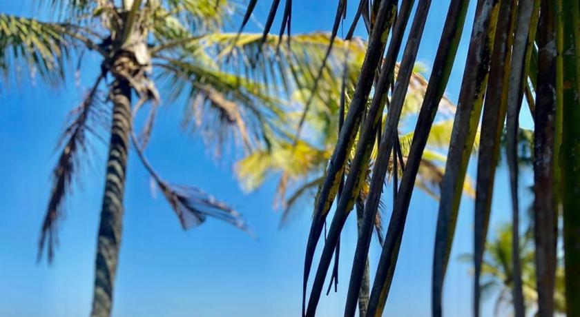 Unlimited Ocean Front photo