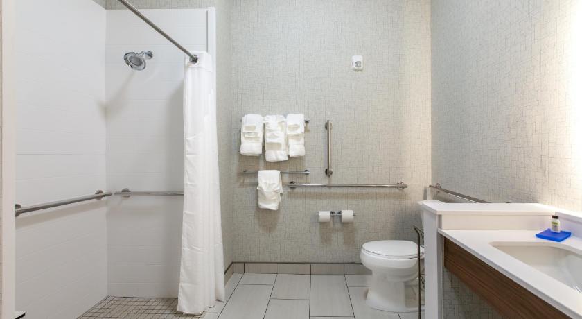 Holiday Inn Express & Suites Greenville S - Piedmont