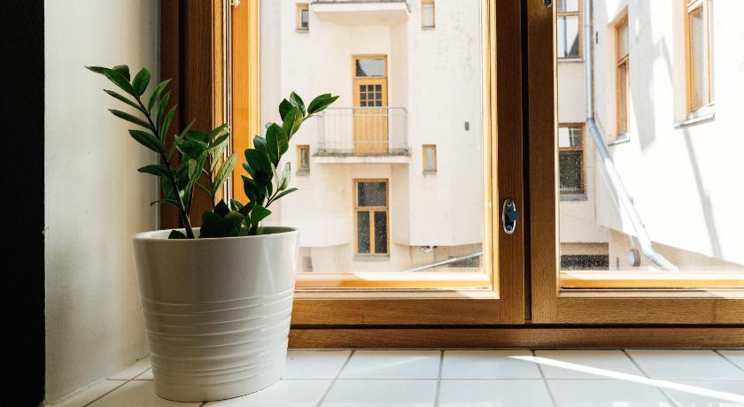 Image of 1 Person in 8-Bed Dormitory - Female Only 8