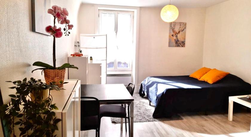 Suites Rive Gauche - COSY Fontainebleau — Hotel in Fontainebleau