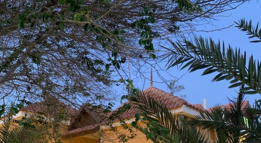 استراحة البيت الريفي — Hotel in Umm Lajj