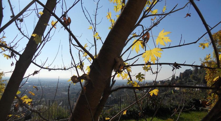 Bed & Breakfast Sant'Erasmo photo