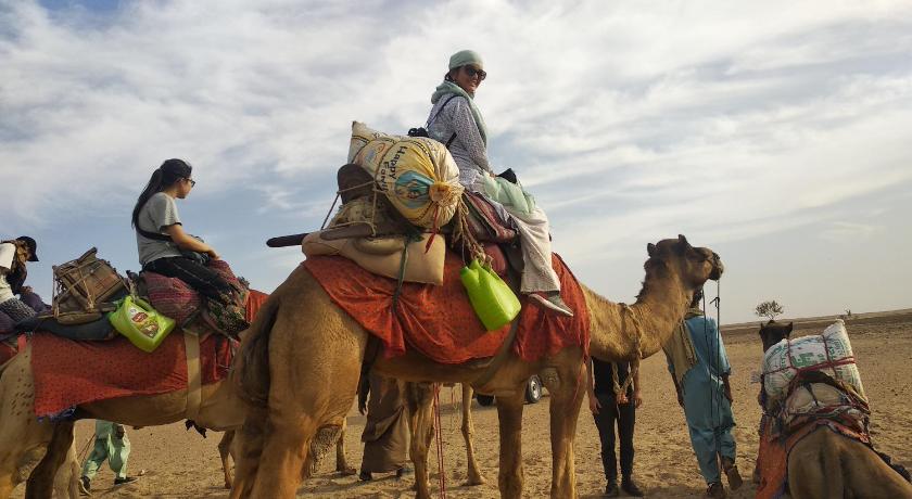 Marvin Jaisalmer - image 7