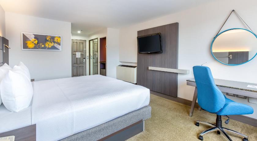 Image of 1 King Bed Standard High Floor 3