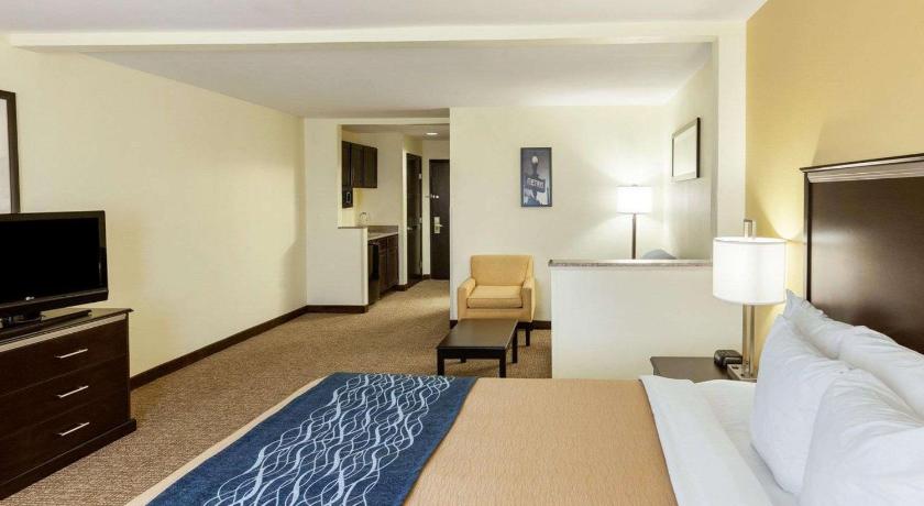 Comfort Inn and Suites Texas Hill Country Boerne