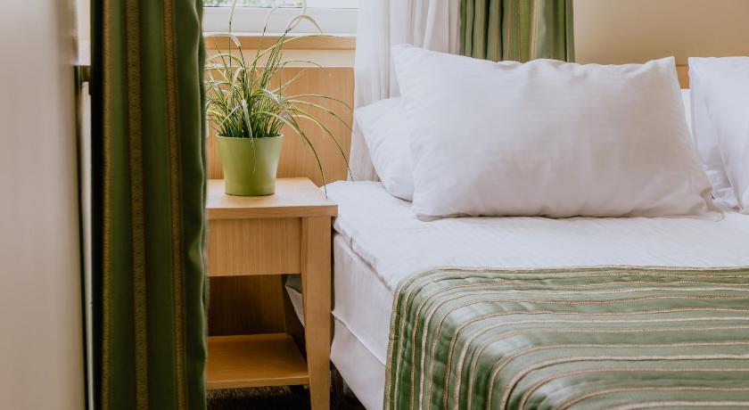 Hotel Vita — Hotel in Druskininkai