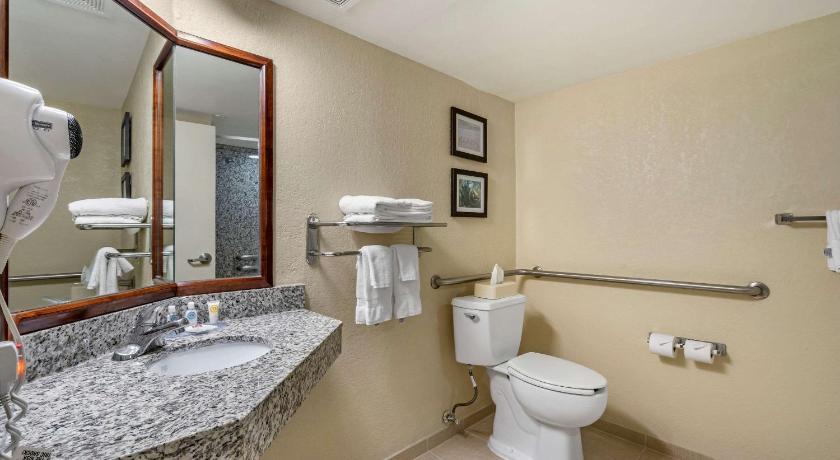 Comfort Inn & Suites Clearwater - St. Petersburg Carillon Park