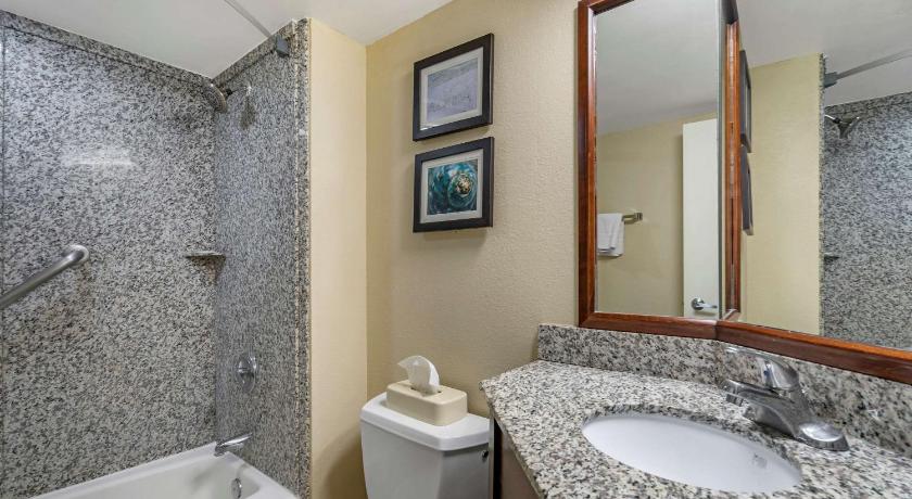 Comfort Inn & Suites Clearwater - St. Petersburg Carillon Park