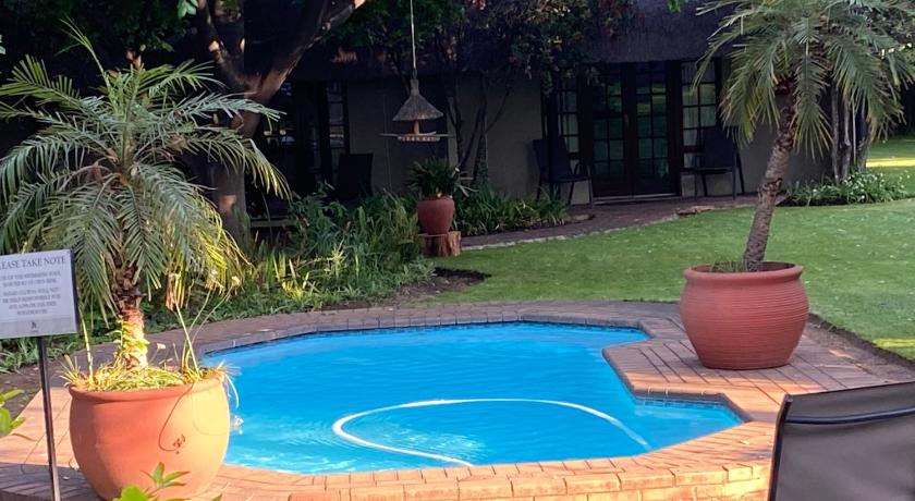 Swimming pool, Safari Club SA in Johannesburg