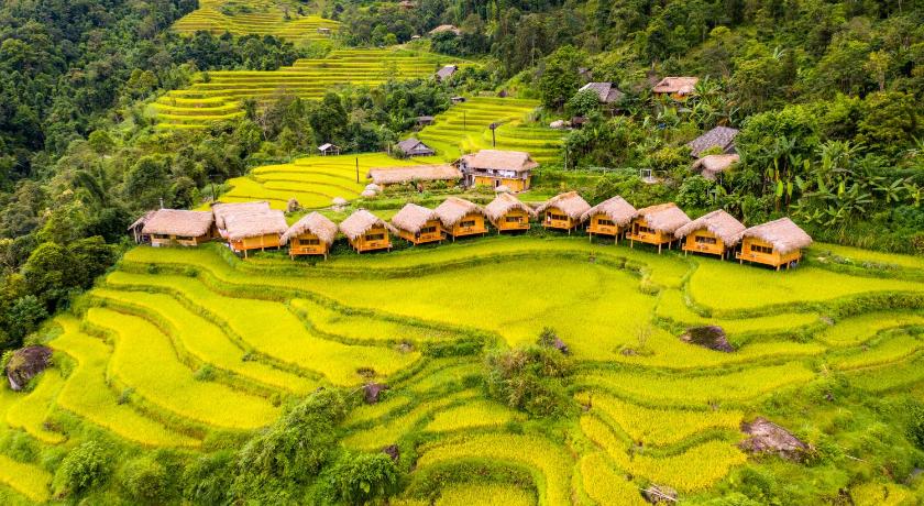 an aerial view of a lush green hillside, Hoang Su Phi Lodge in Ha Giang