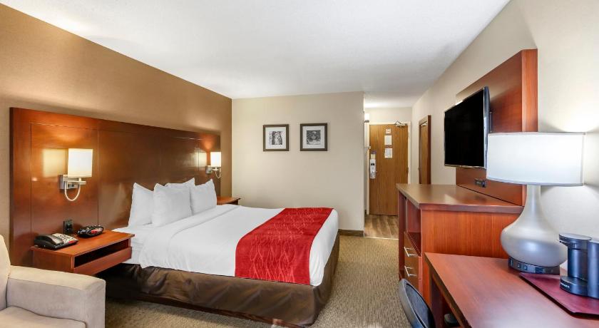 Comfort Inn Airport West Mississauga