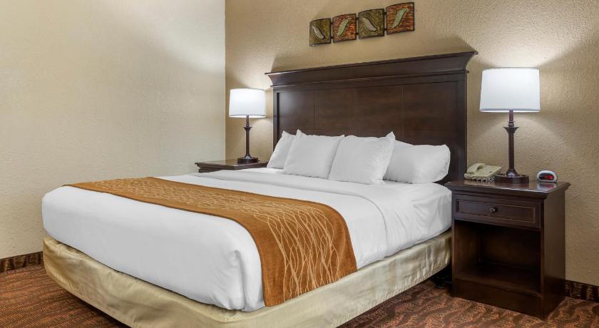 Comfort Inn at Thousand Hills Branson