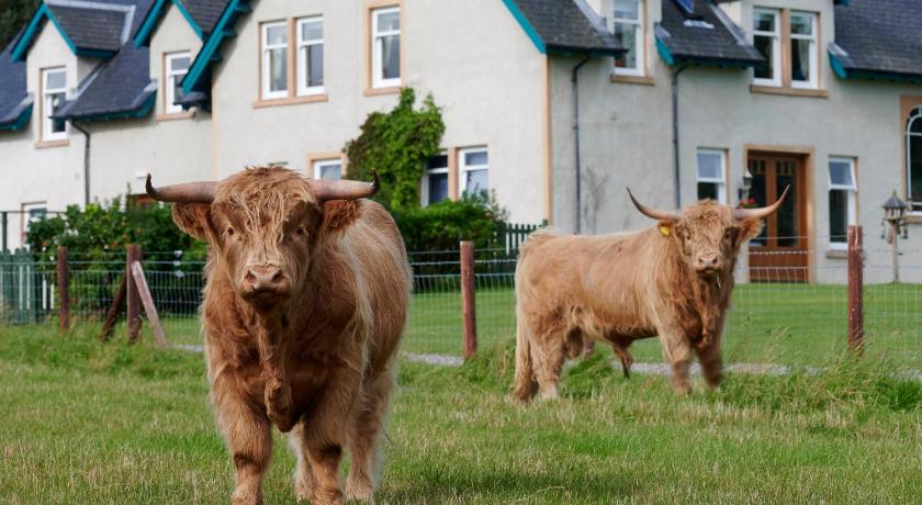 Daviot Lodge photo