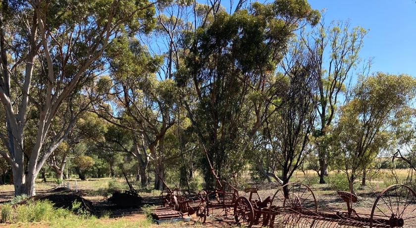 Belalie Wines photo