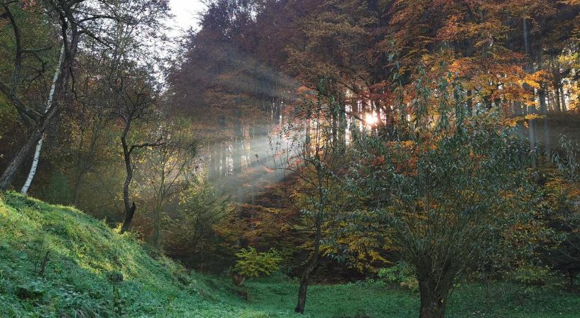 SOHO Lodge Rasnov photo