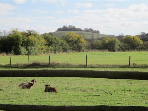 The Red Barn - image 10