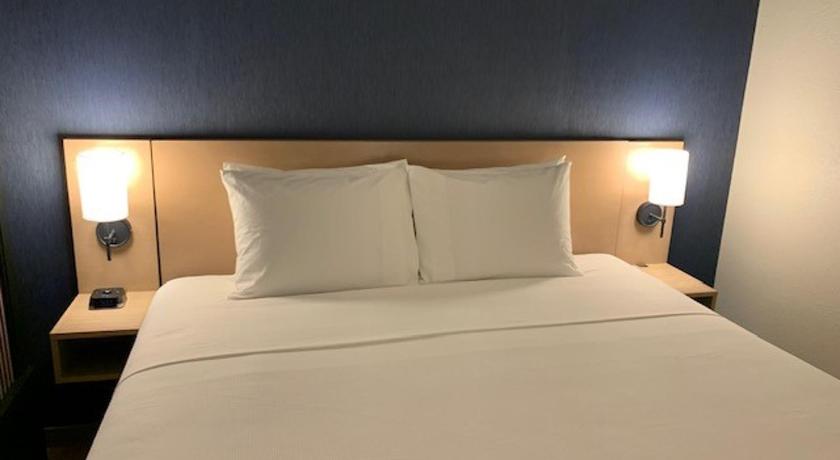 Image of King Bed (plus Sofa Bed) 7