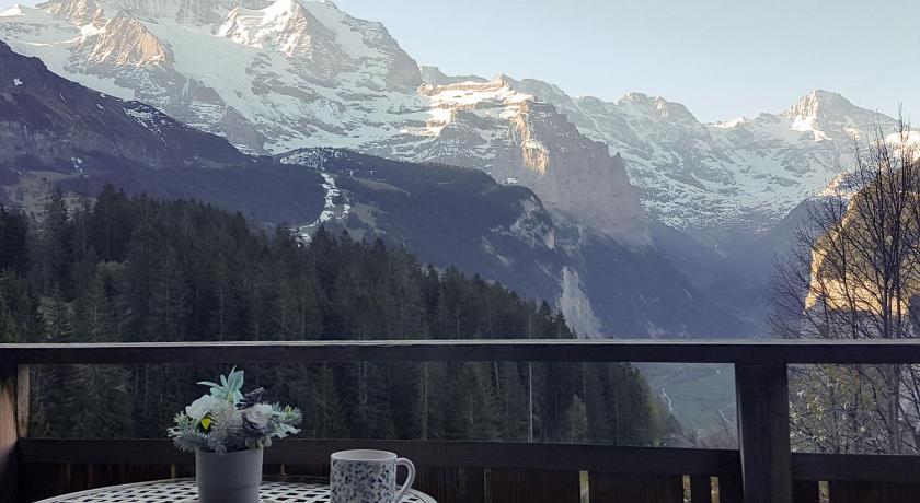 Chalet Ledibach photo