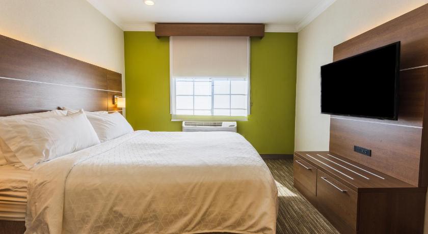 Holiday Inn Express & Suites Davis - University Area