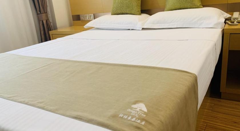 GreenTree Inn Tianjin Hedong District Tianjin Railway Station Square Express Hotel - image 37