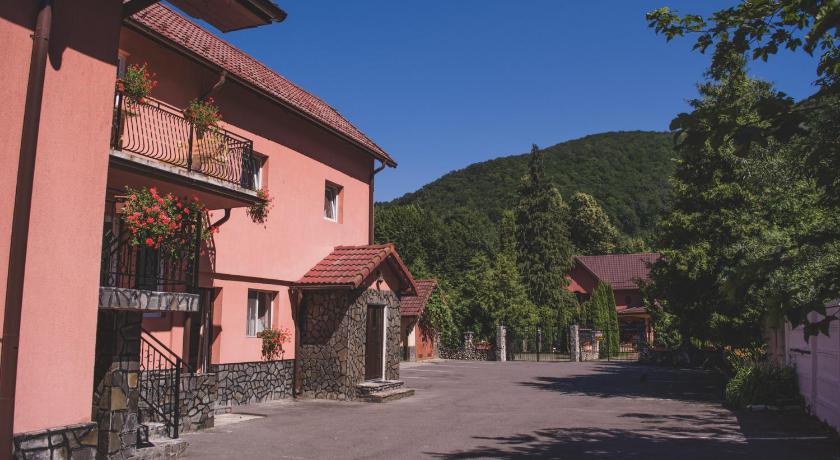 Pensiunea Castle photo