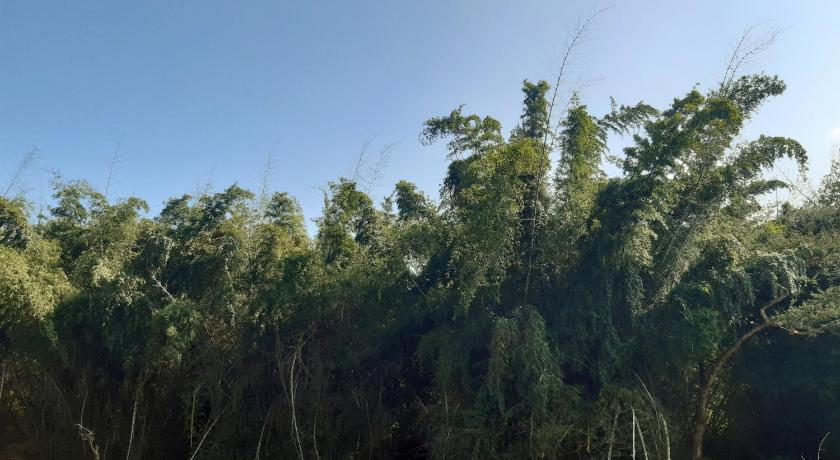 Runnel View — Hotel in Ooty