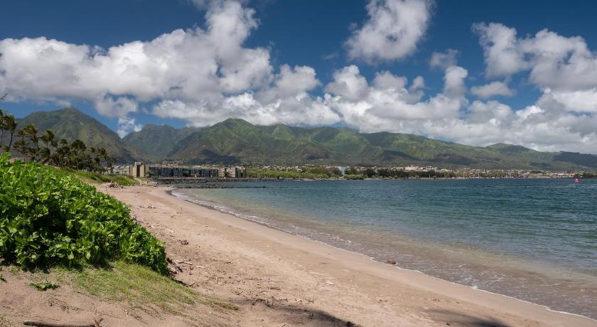 Maui Seaside Hotel photo