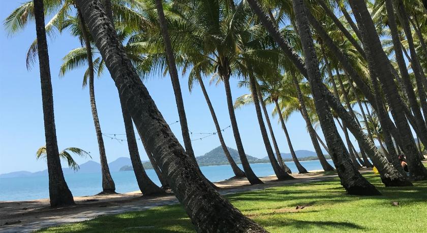 PalmCove DriftAway photo
