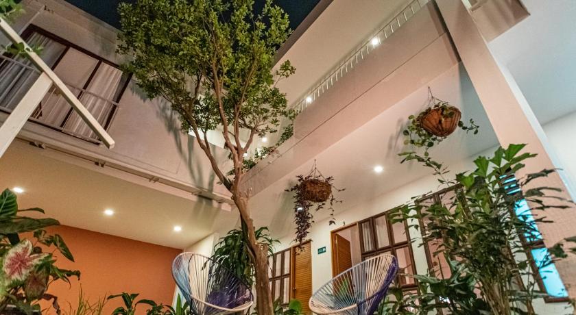 MUGUET HOUSE GRANADA - image 6