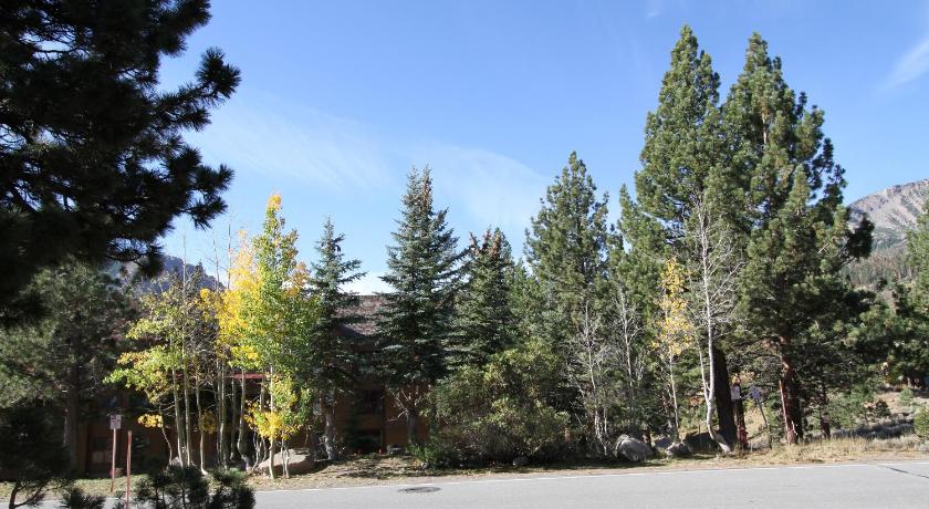 Summit 81 Apartment photo