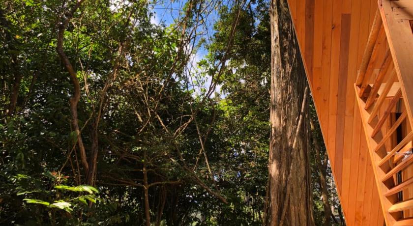 Tityra Lodge photo