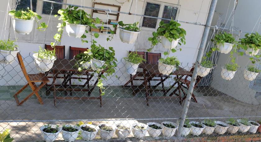 Green Garden House photo