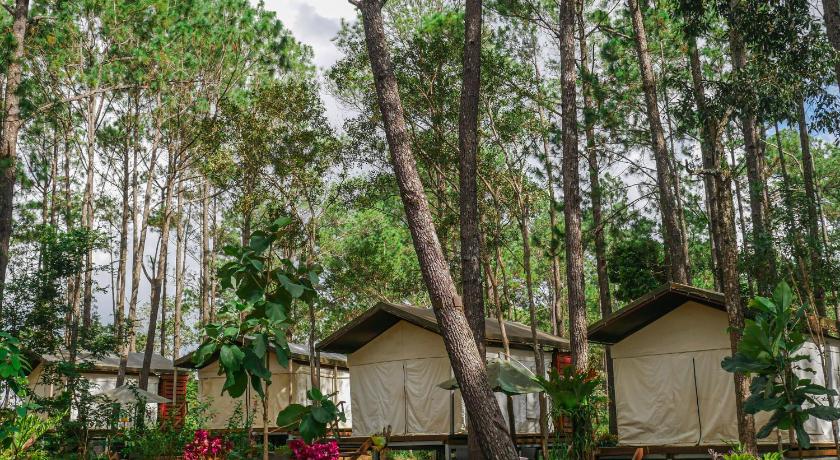 Image of Luxury Tent 15