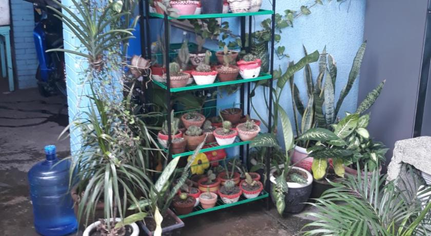 CVBNB GUESTHOUSE photo