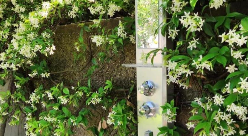 La Primavera photo