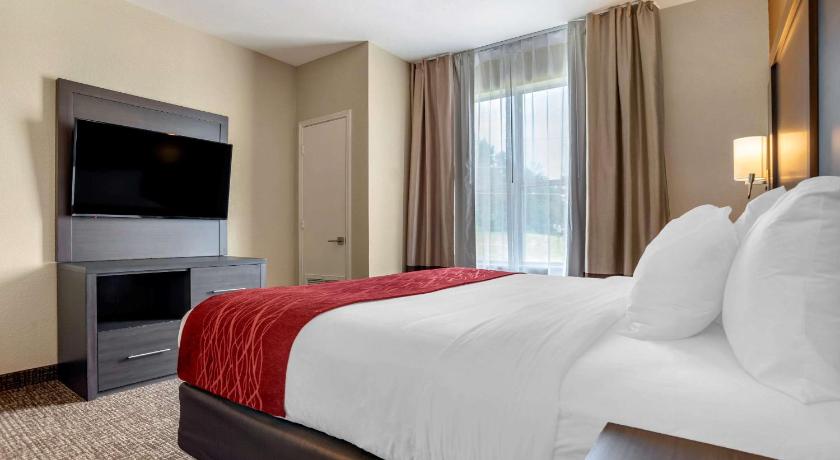Comfort Inn & Suites Millbrook-Prattville