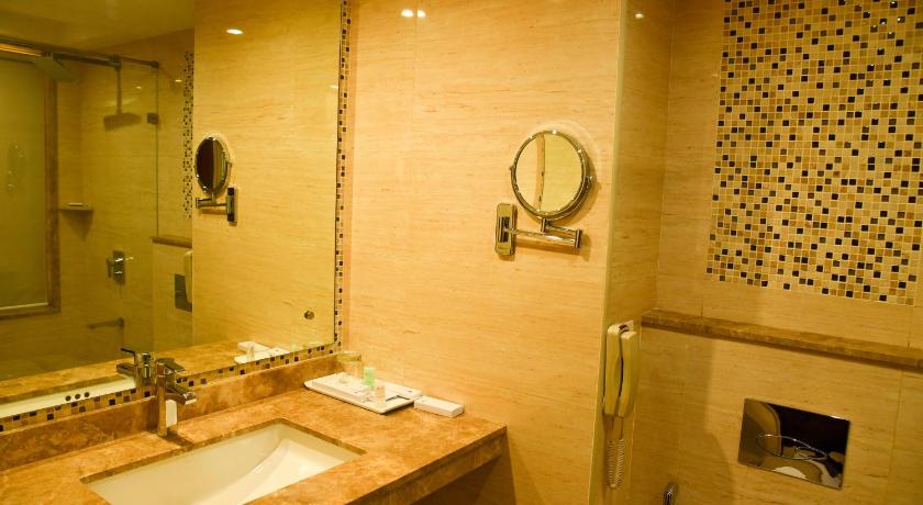 The Saibaba Hotel – Chennai, IL